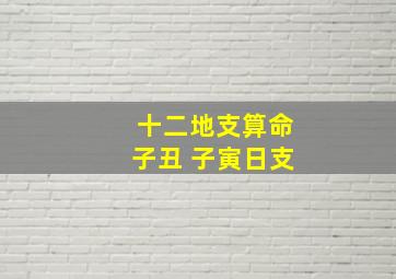 十二地支算命子丑 子寅日支